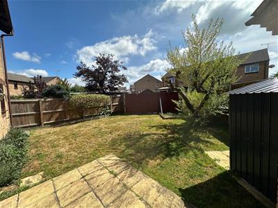 Picture 20